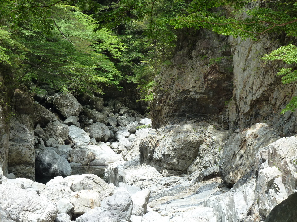 P1100272_mid.jpg