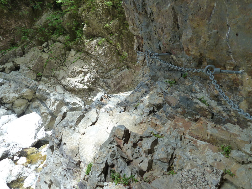 P1100273_mid.jpg