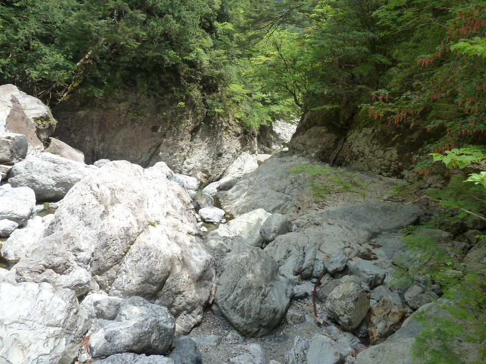 P1100274_mid.jpg