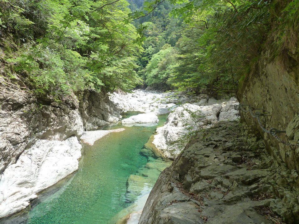 P1100276_mid.jpg