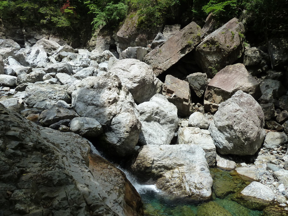 P1100277_mid.jpg
