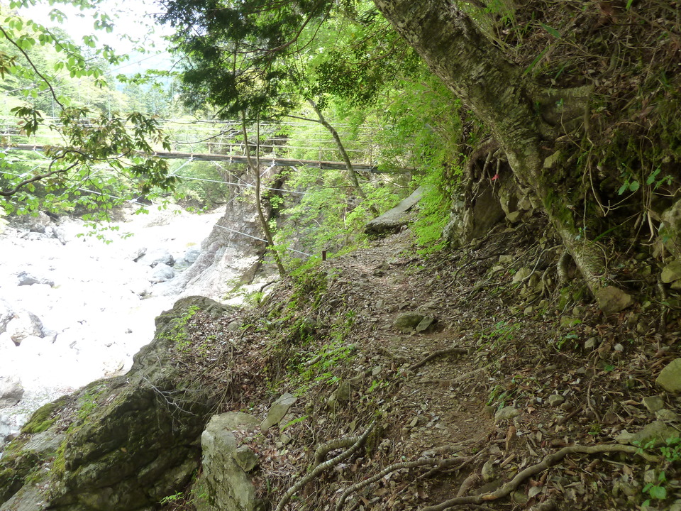 P1100278_mid.jpg