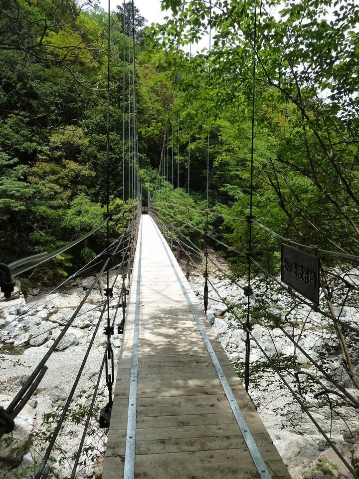 P1100280_mid.jpg