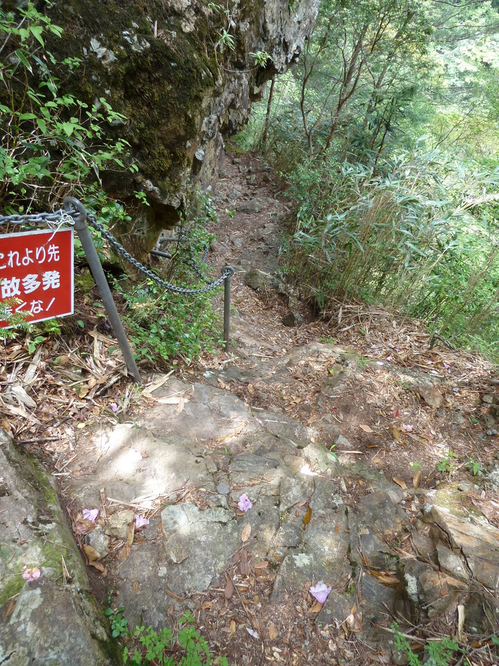 P1100281_mid.jpg