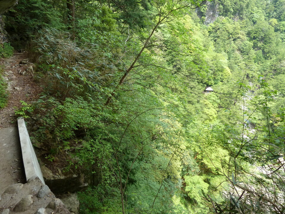 P1100283_mid.jpg