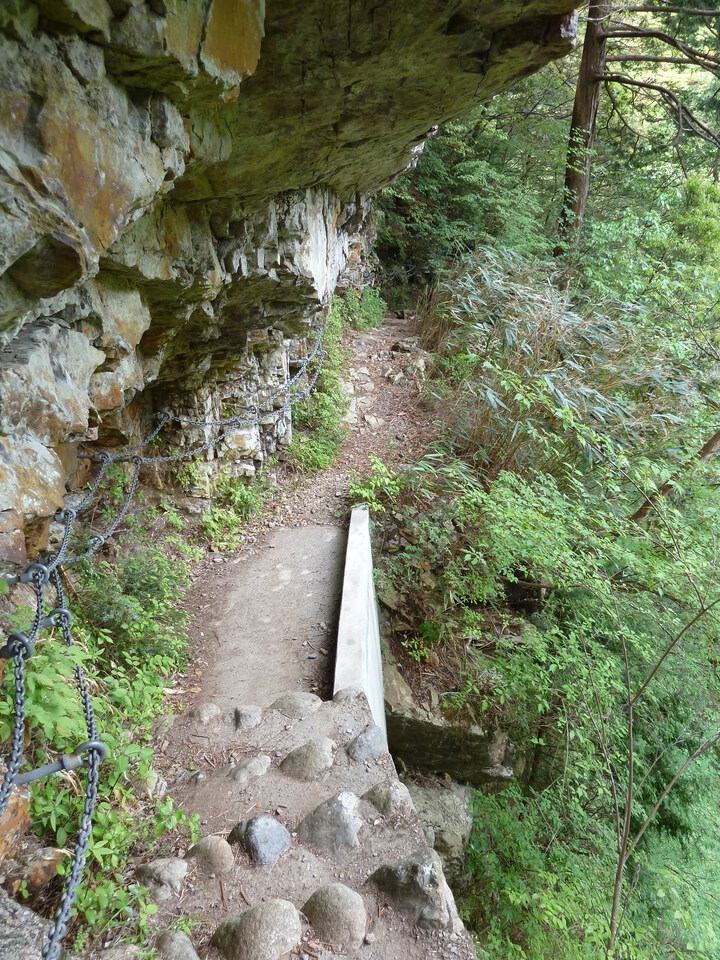 P1100284_mid.jpg