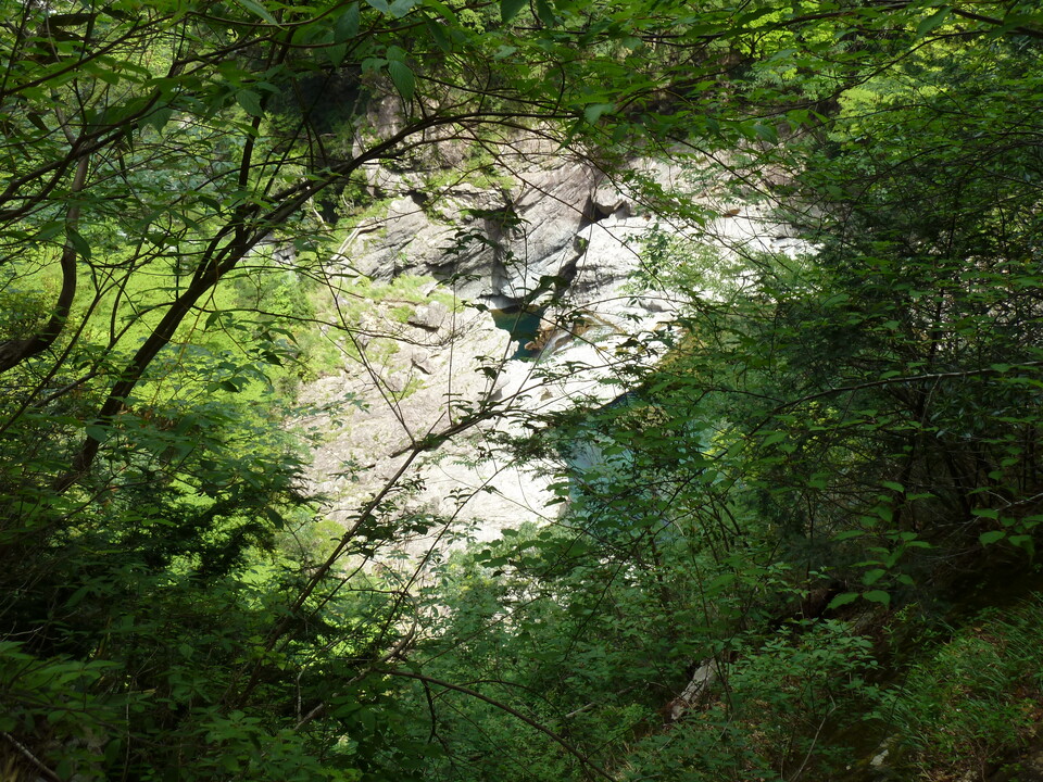 P1100285_mid.jpg