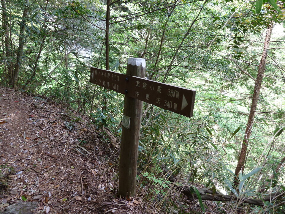 P1100286_mid.jpg