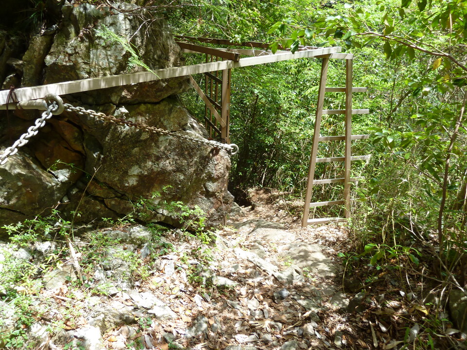 P1100289_mid.jpg