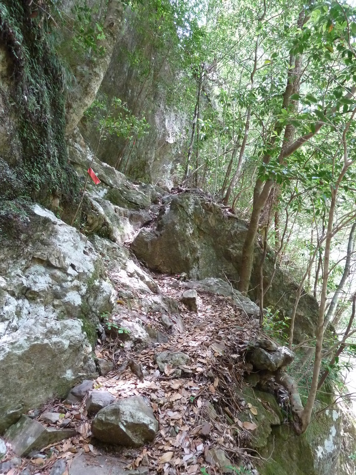 P1100295_mid.jpg