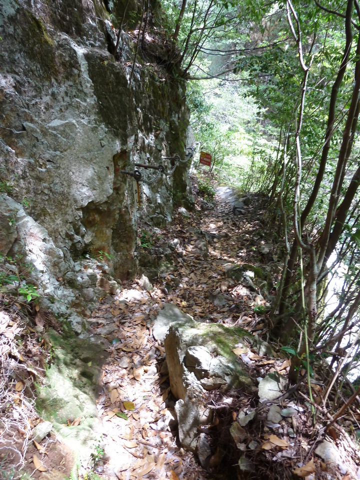 P1100296_mid.jpg