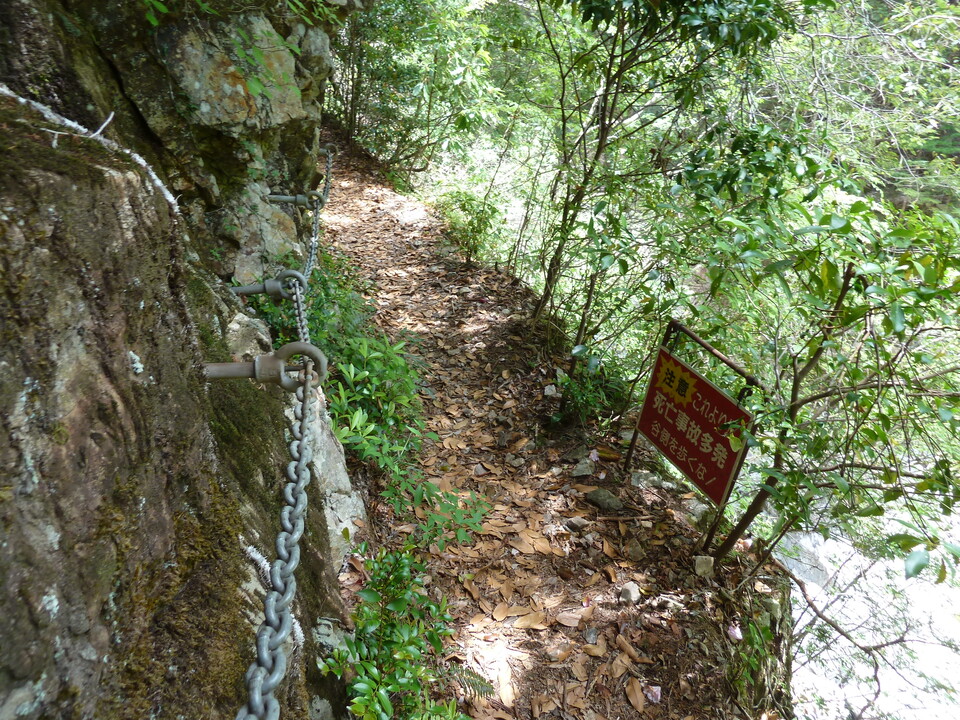P1100297_mid.jpg