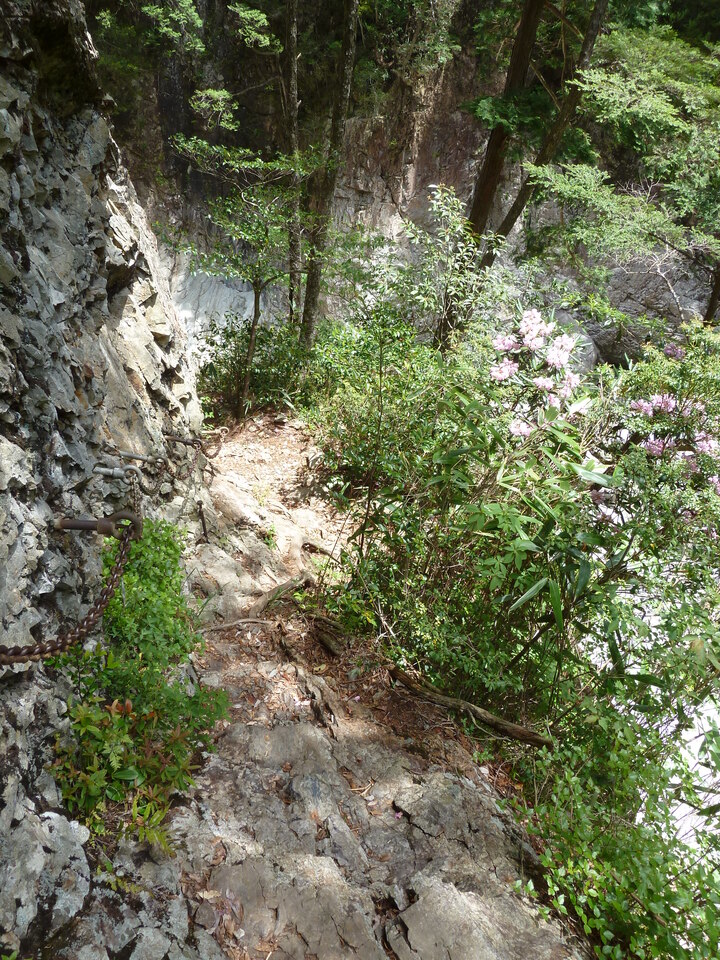 P1100300_mid.jpg
