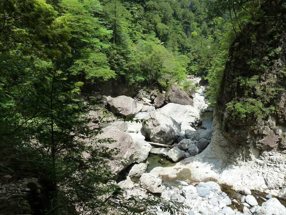 P1100304_mid.jpg