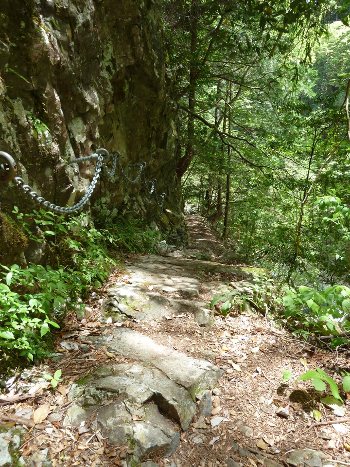 P1100308_mid.jpg