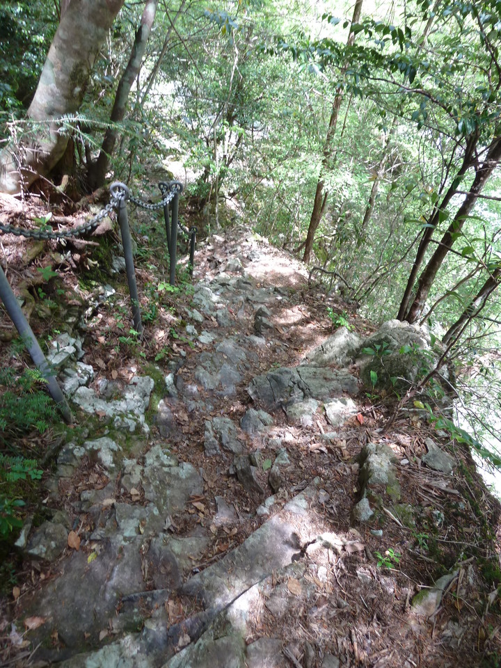 P1100309_mid.jpg