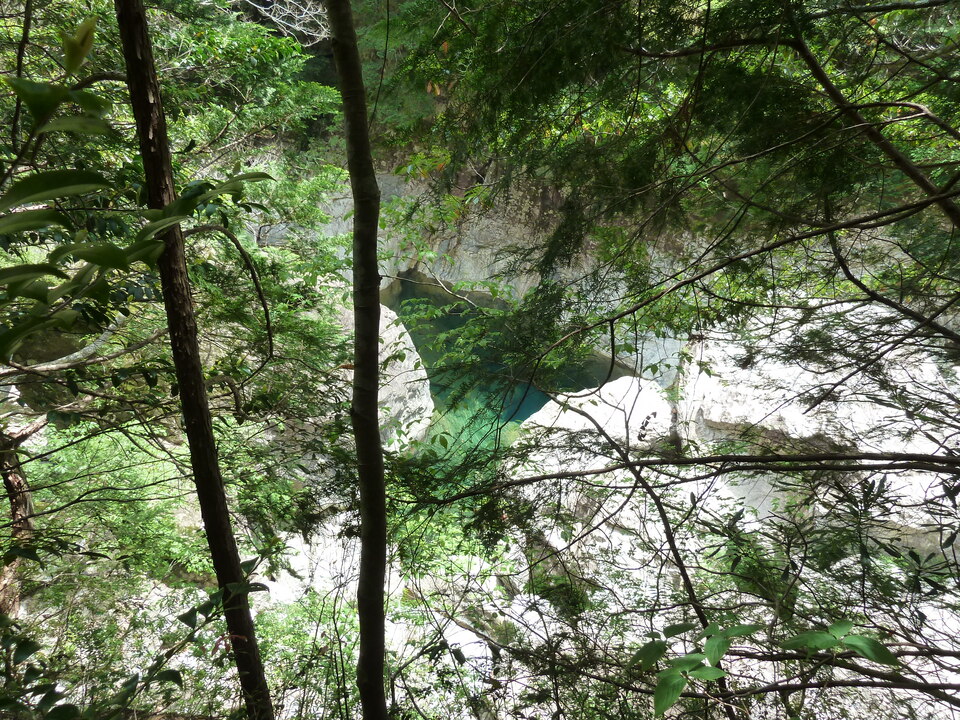 P1100310_mid.jpg