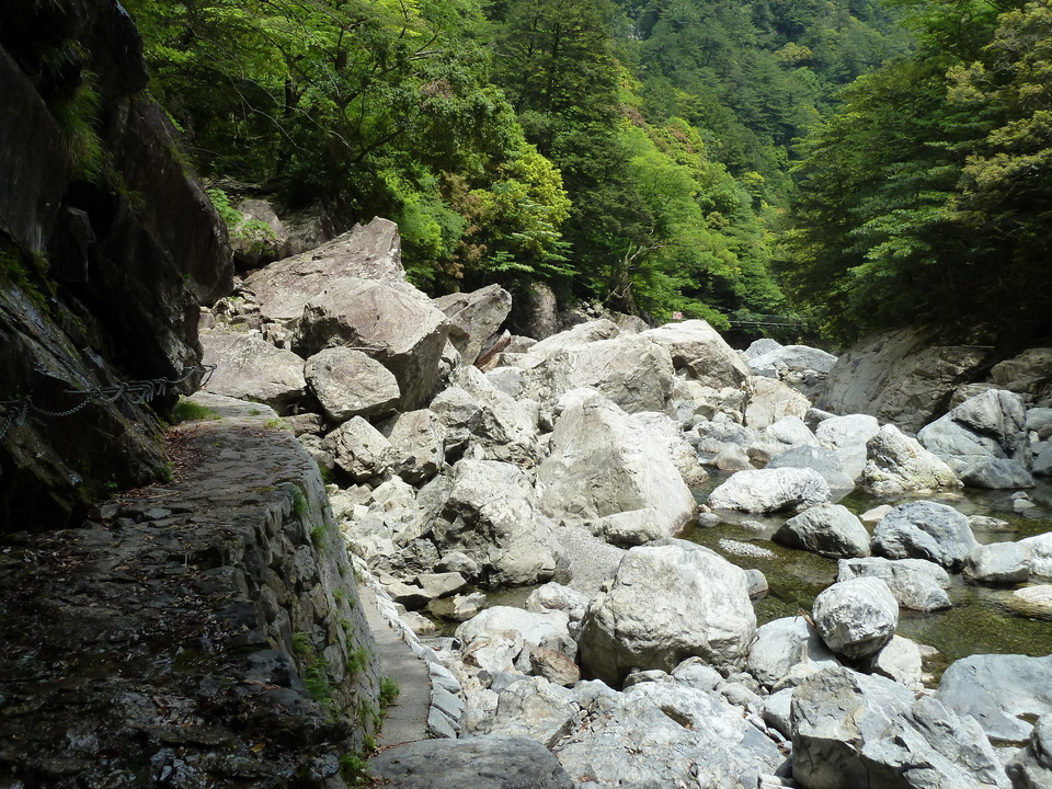 P1100313_mid.jpg