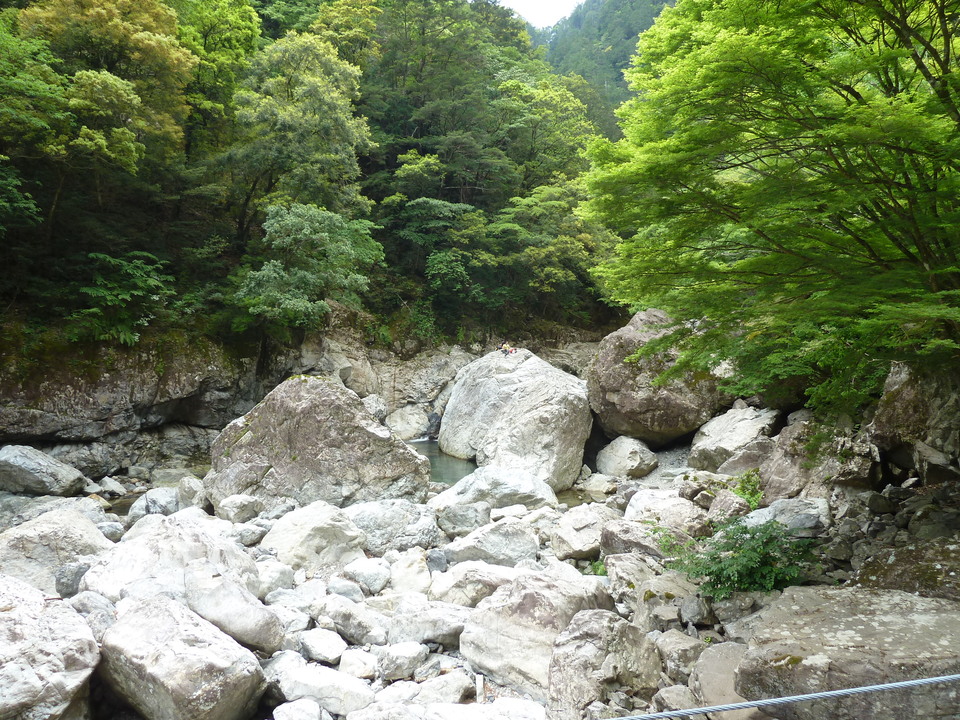 P1100320_mid.jpg