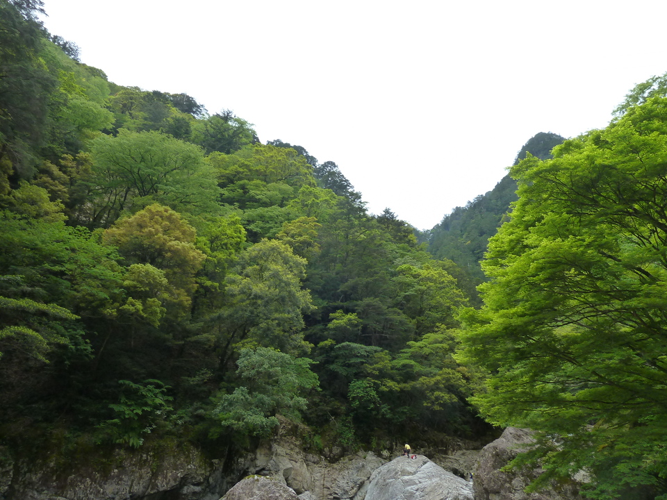 P1100321_mid.jpg