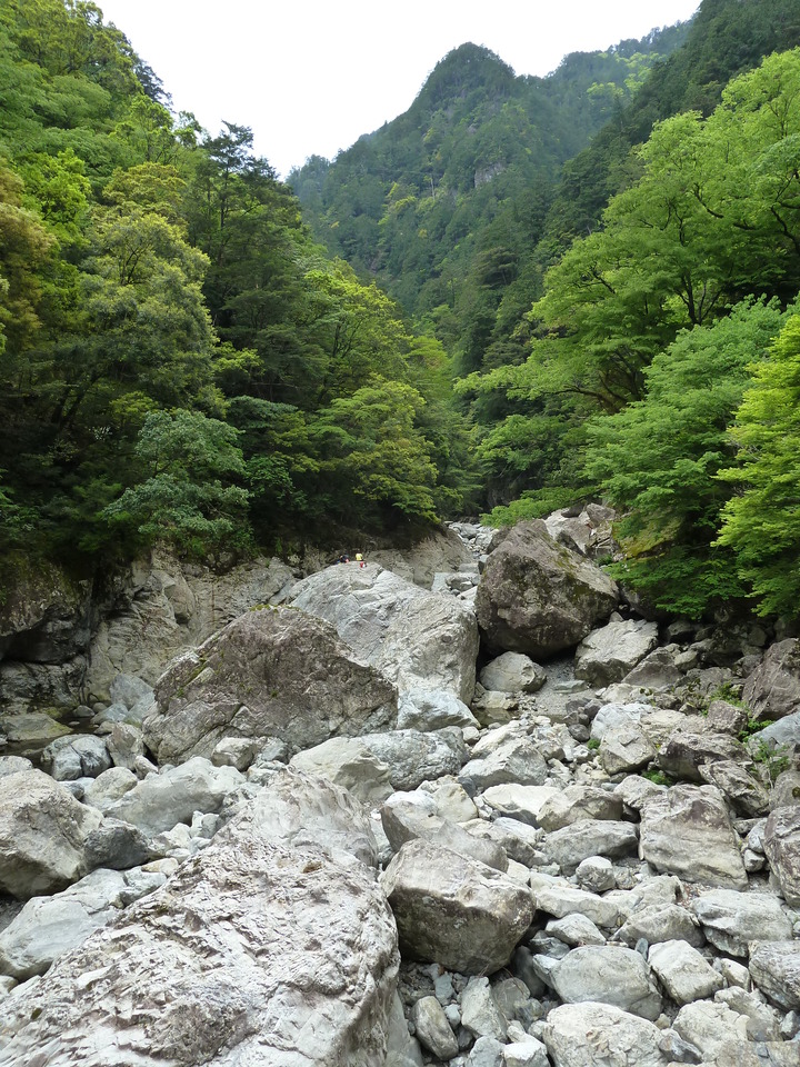 P1100324_mid.jpg