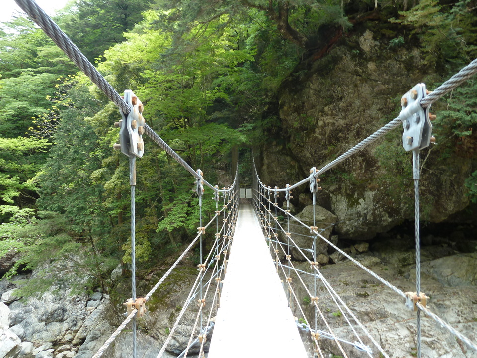 P1100325_mid.jpg