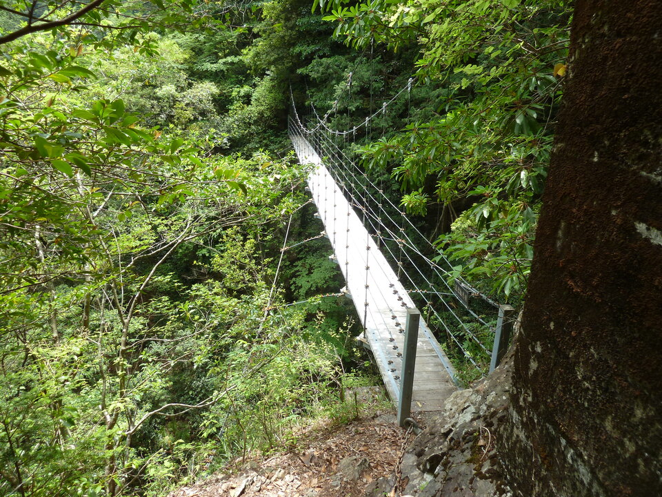 P1100334_mid.jpg
