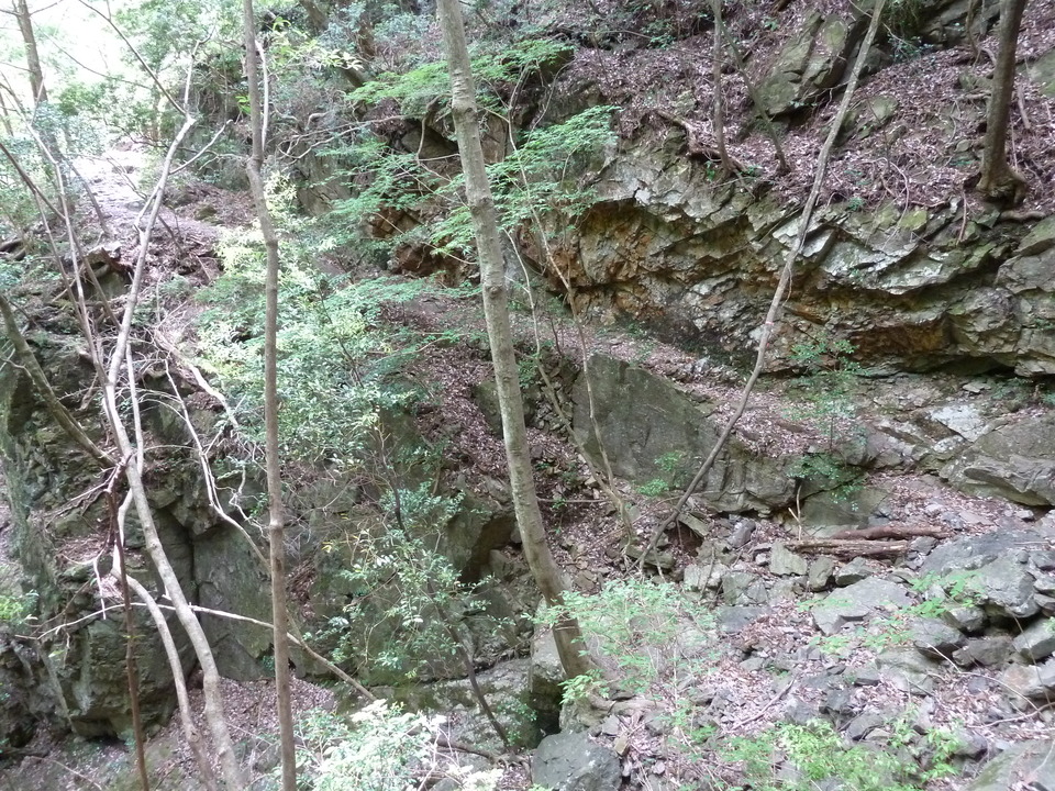P1100340_mid.jpg