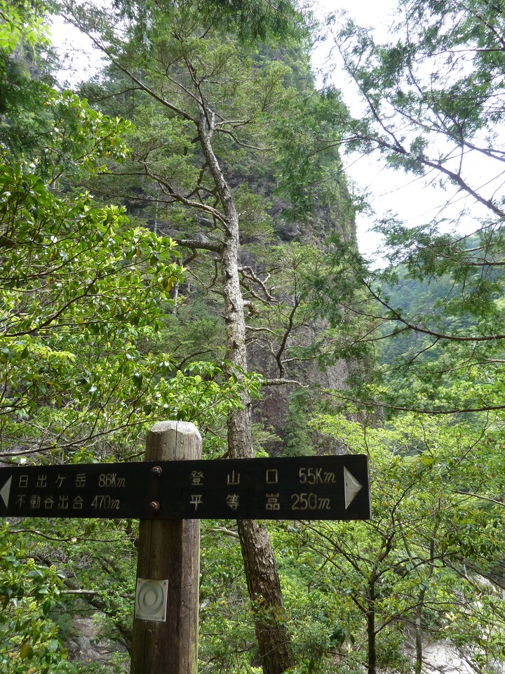 P1100342_mid.jpg