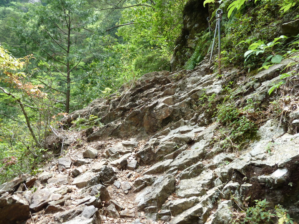 P1100343_mid.jpg