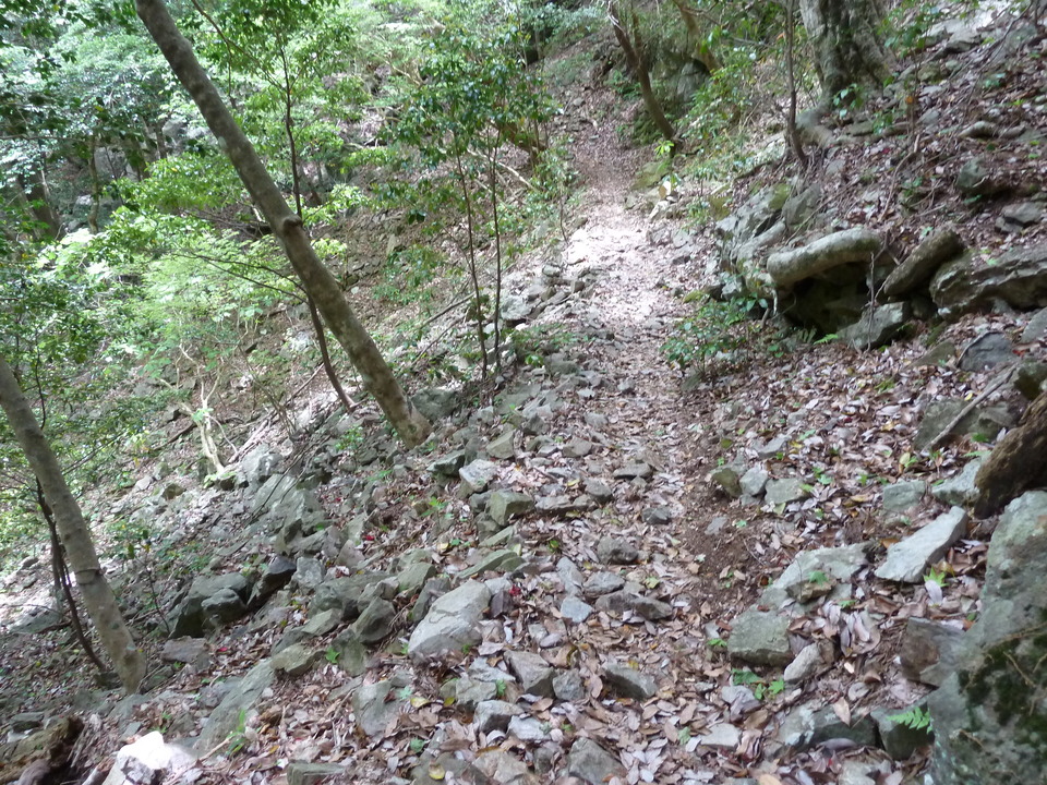 P1100344_mid.jpg
