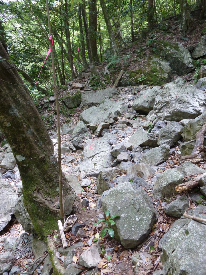P1100345_mid.jpg