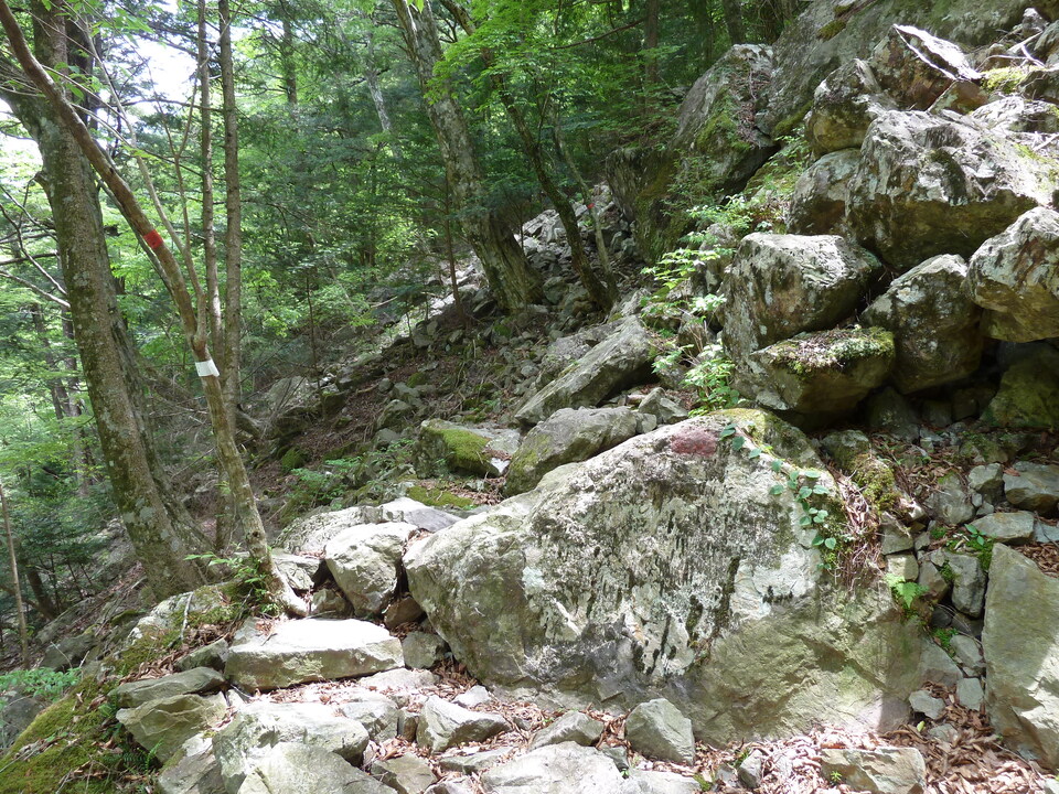 P1100347_mid.jpg