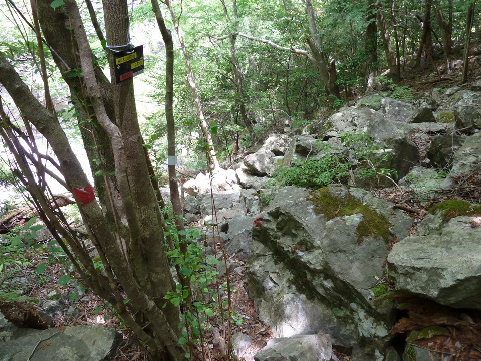 P1100349_mid.jpg