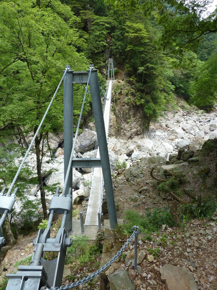 P1100353_mid.jpg