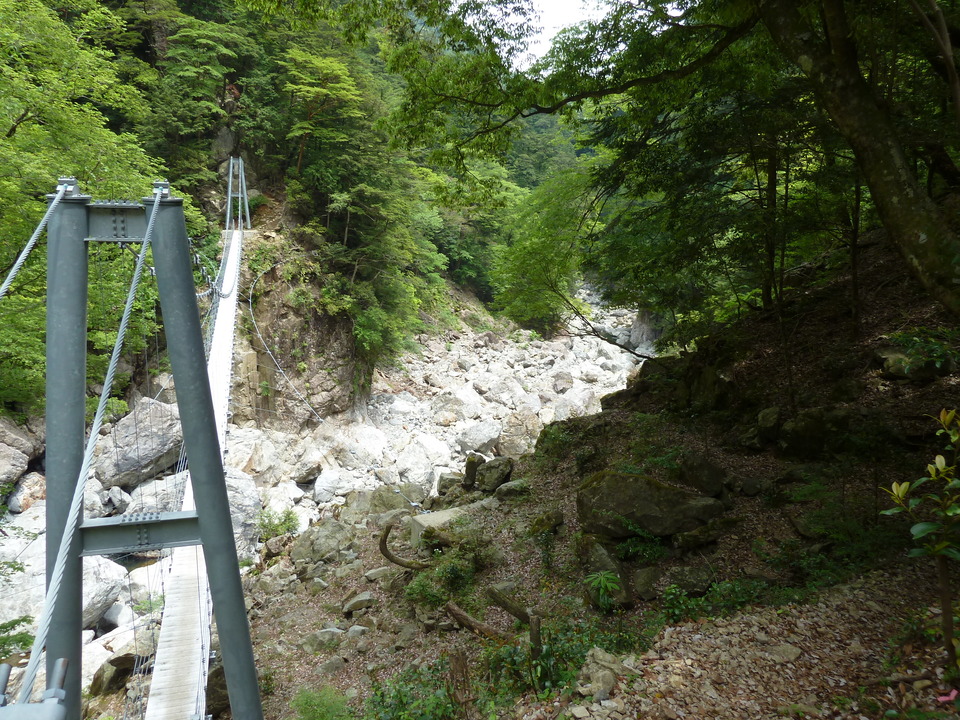 P1100354_mid.jpg