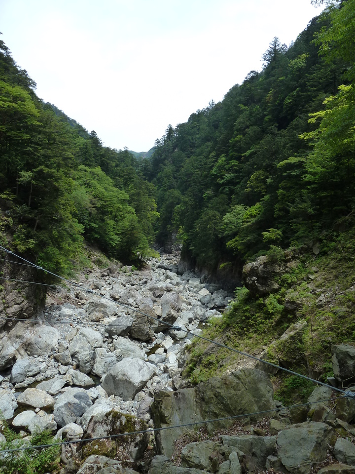 P1100357_mid.jpg