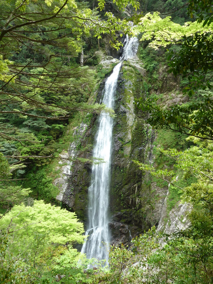 P1100364_mid.jpg