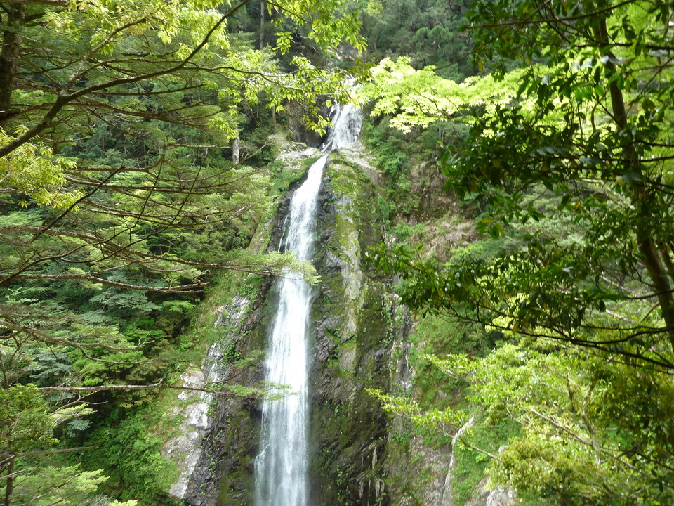 P1100366_mid.jpg