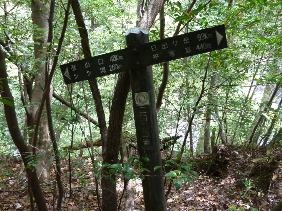 P1100367_mid.jpg