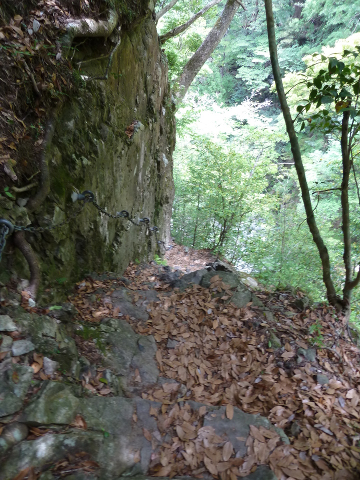 P1100370_mid.jpg