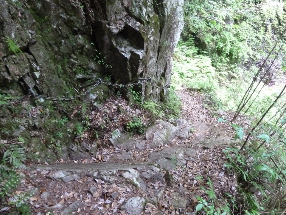 P1100371_mid.jpg
