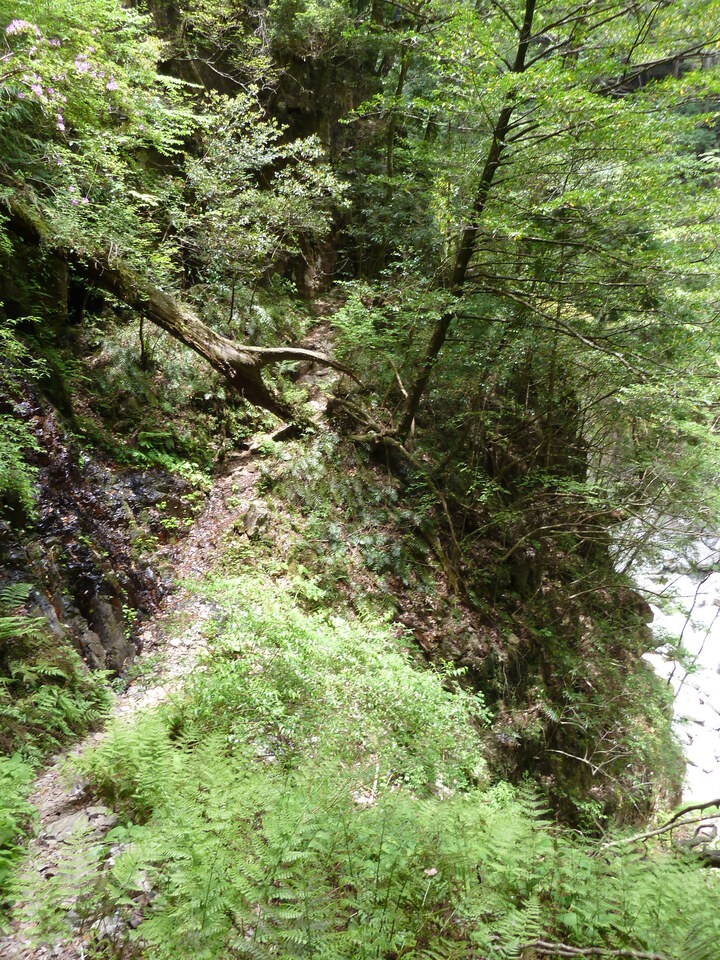 P1100373_mid.jpg