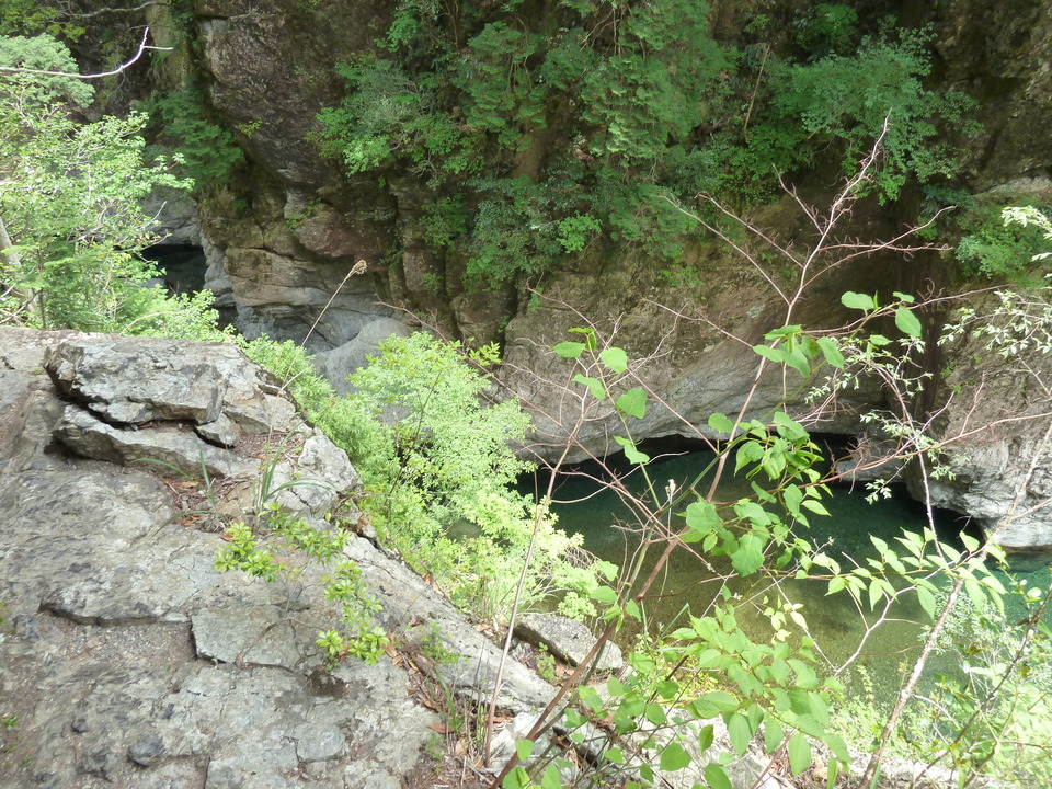P1100376_mid.jpg