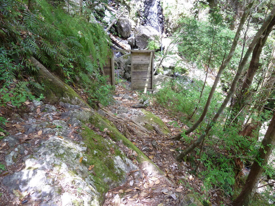 P1100379_mid.jpg