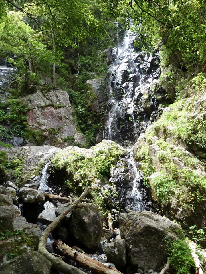 P1100380_mid.jpg
