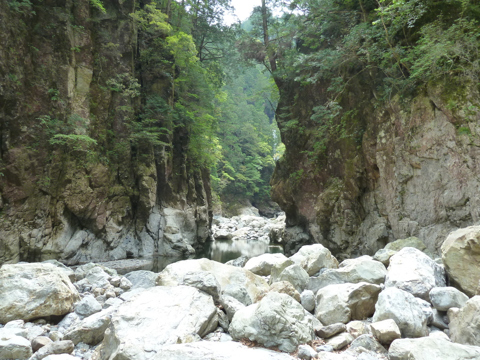 P1100382_mid.jpg