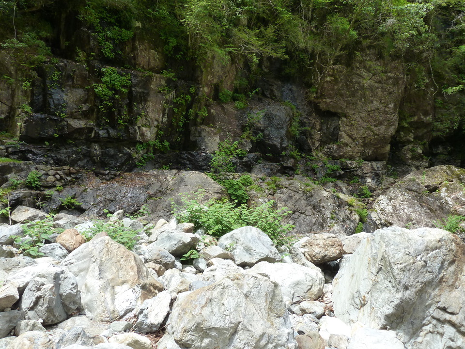 P1100390_mid.jpg