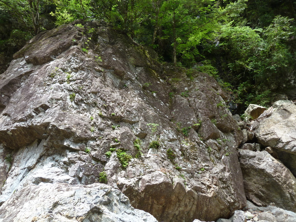 P1100392_mid.jpg