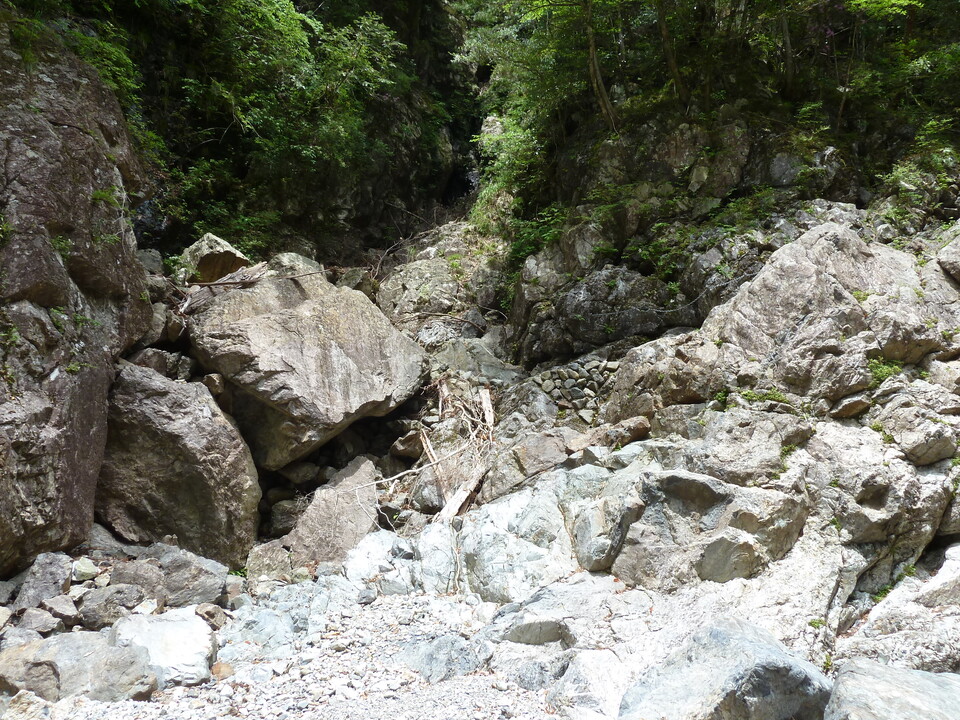 P1100393_mid.jpg
